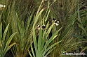 VBS_6841 - FLOREAL Ottobre 2022 - Tre giorni di fiori, piante e bellezza
